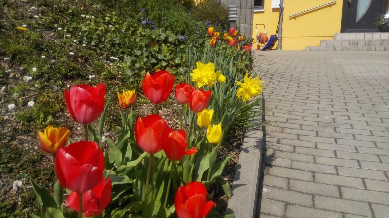 Ferienwohnung Oberpfannenstiel Bernsbach Exterior foto